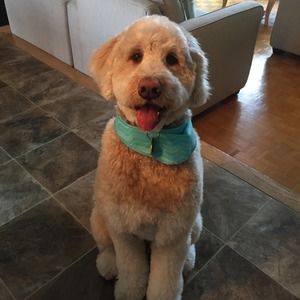 Meet your Posher, Doris